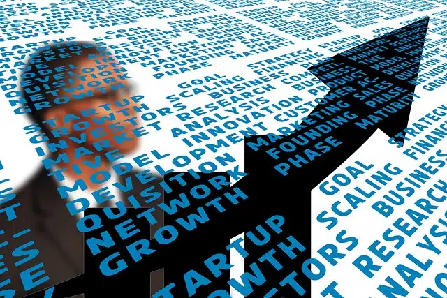 Fallbeispiel-Analyse: Das Phänomen der Skalennachteile